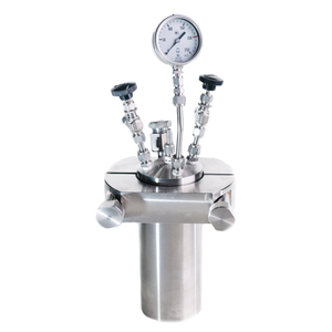 High pressure reactor RVD-2-500